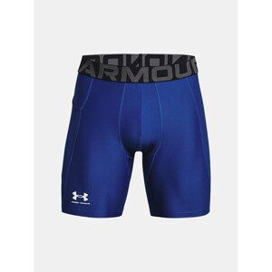 Pánske kraťasy Under Armour GRY