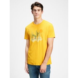 GAP T-shirt v-cactus grph