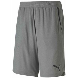 Puma Kraťasy RTG Interlock Shorts 10 Medium Gray Hea