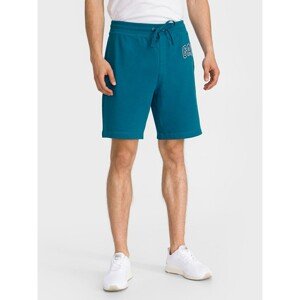 GAP Kraťasy Logo arch shorts