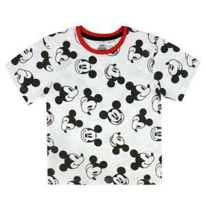 T-SHIRT SINGLE JERSEY MICKEY