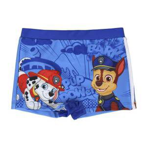 BOXER PAW PATROL