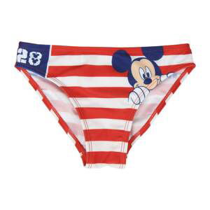 SWIM SLIP MICKEY