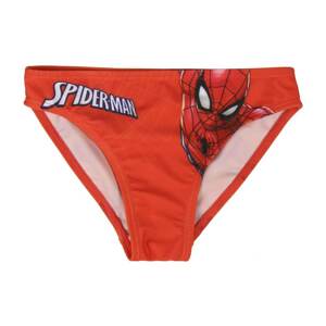 SWIM SLIP SPIDERMAN