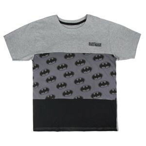 SHORT SLEEVE T-SHIRT PREMIUM SINGLE JERSEY BATMAN