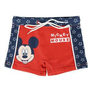 BOXER MICKEY