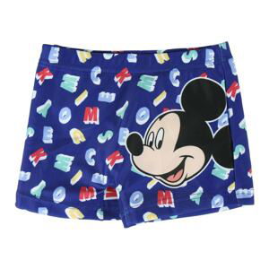 BOXER MICKEY