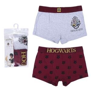 BOXERS PACK 2 PIECES HARRY POTTER