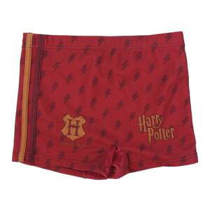 BOXER HARRY POTTER