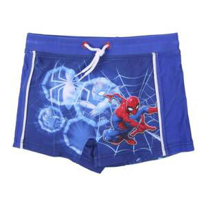 BOXER SPIDERMAN