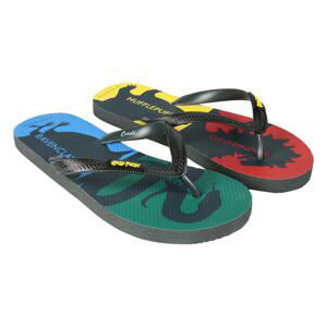 FLIP FLOPS PREMIUM HARRY POTTER