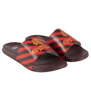 FLIP FLOPS POOL HARRY POTTER