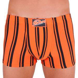 Men's boxers Styx classic rubber multicolored (Q768)