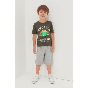 Trendyol Gray Boy Knitted Shorts & Bermuda