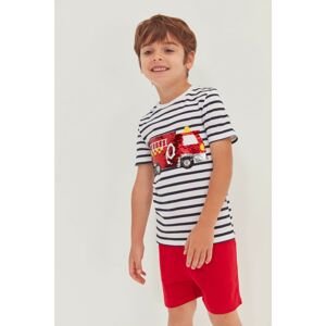 Trendyol White Striped Double Sided Sequin Embroidered Boy Knitted T-Shirt