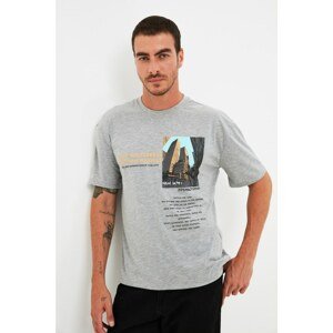 Trendyol Gray Men's T-Shirt