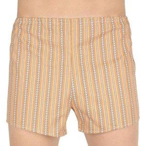 Classic men's shorts Foltine brown with a white stripe