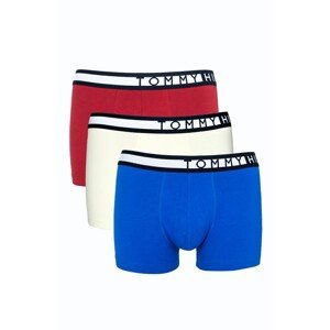 3PACK men's boxers Tommy Hilfiger multicolored (UM0UM02202 0W8)