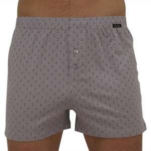 Men's shorts Andrie gray (PS 5554 B)