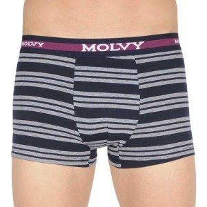 Men's multicolored boxers Molvy (MP-1031-BEU)