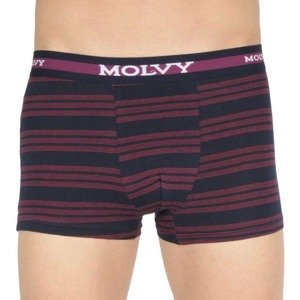 Men's boxers Molvy multicolored (MP-1032-BEU)