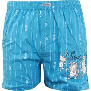 Men's shorts Andrie light blue (PS 5250 B)