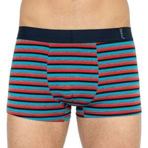 Men's multicolored boxers Molvy (MP-1030-BEU)