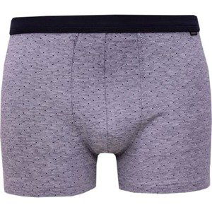 Men's boxers Andrie gray (PS 5337 A)