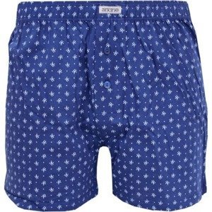 Men's shorts Andrie blue (PS 5456 B)