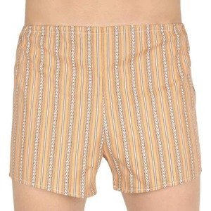 Classic men's shorts Foltín brown with a white stripe oversized