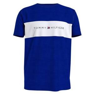 Men's T-shirt Tommy Hilfiger blue (UM0UM01170 C86)