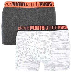 2PACK men's boxers Puma multicolored (100001140 004)