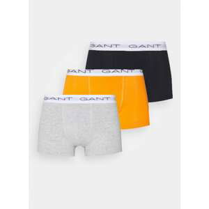 3PACK men's boxers Gant multicolor