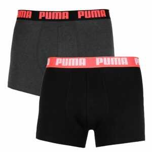 2PACK men's boxers Puma multicolored (521015001 013)