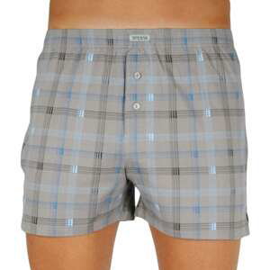 Men's shorts Andrie light brown (PS 5312 C)