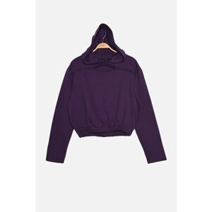 Trendyol Purple Hooded and Raised Basic Knitted Sweatshirt