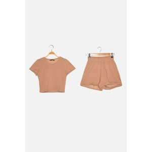 Trendyol Mink Knitted Bottom-Top Set