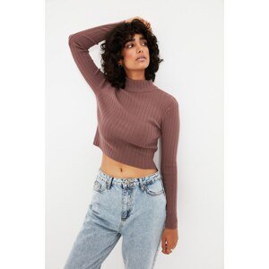 Trendyol Mink Crop Stand Collar Knitwear Sweater