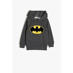 Koton Boys Gray Sweatshirt