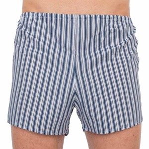 Classic men's shorts Foltýn dark blue stripes oversize