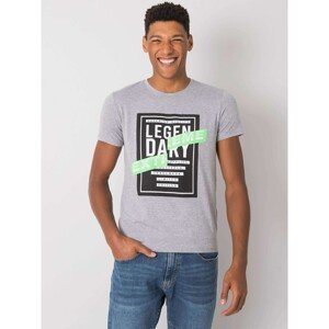 Men's gray t-shirt with print