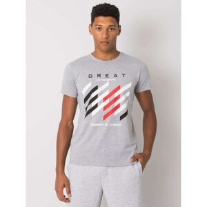 Gray men's t-shirt with a colorful print