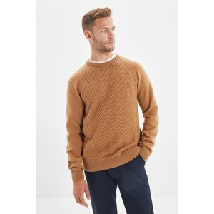 Pánsky sveter Trendyol Knitwear