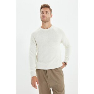 Trendyol Ecru Men's Crew Neck Slim Fit Knitwear Sweater
