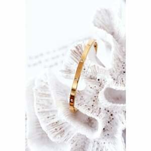 Steel Bracelet With Cubic Zirconia Gold