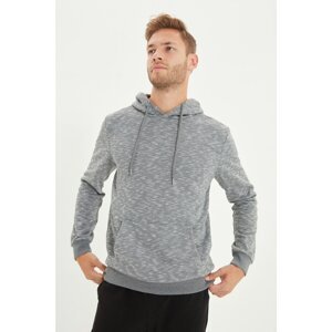 Trendyol Gray Men's Regular Fit Long Sleeve Hooded Sweatshirt