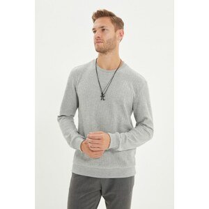Trendyol Gray Men's Regular Fit Long Sleeve Crew Neck Sweatshirt