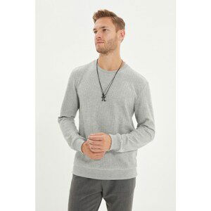 Trendyol Gray Men's Regular Fit Long Sleeve Crew Neck Sweatshirt