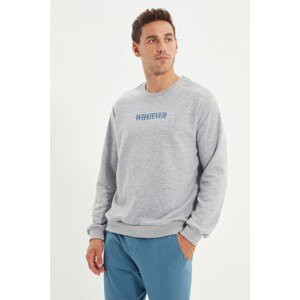 Trendyol Gray Men's Regular Fit Crew Neck Sweatshirt