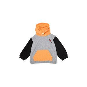 Trendyol Sweatshirt - Gray - Regular